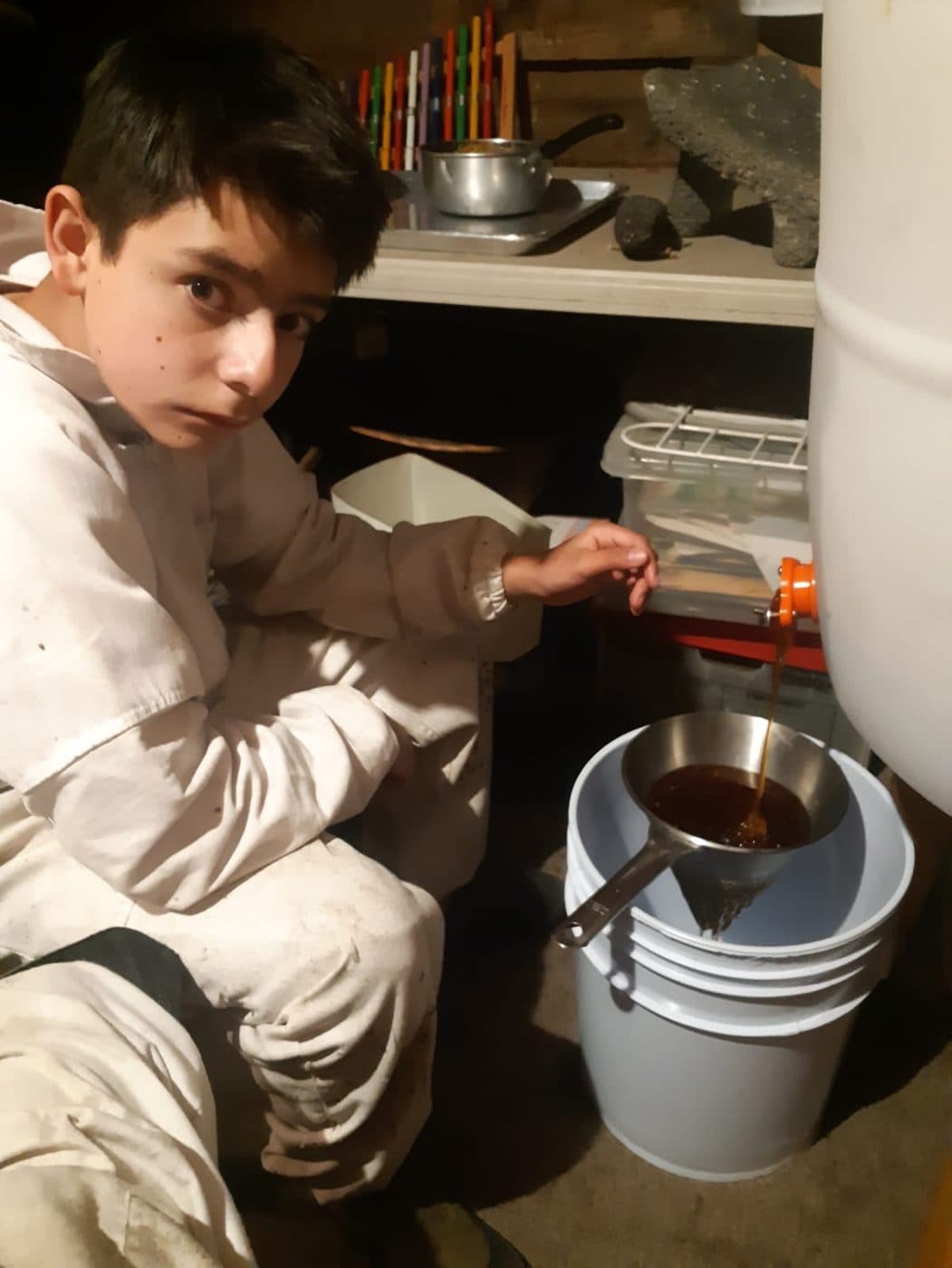 Extrayendo la miel del panal