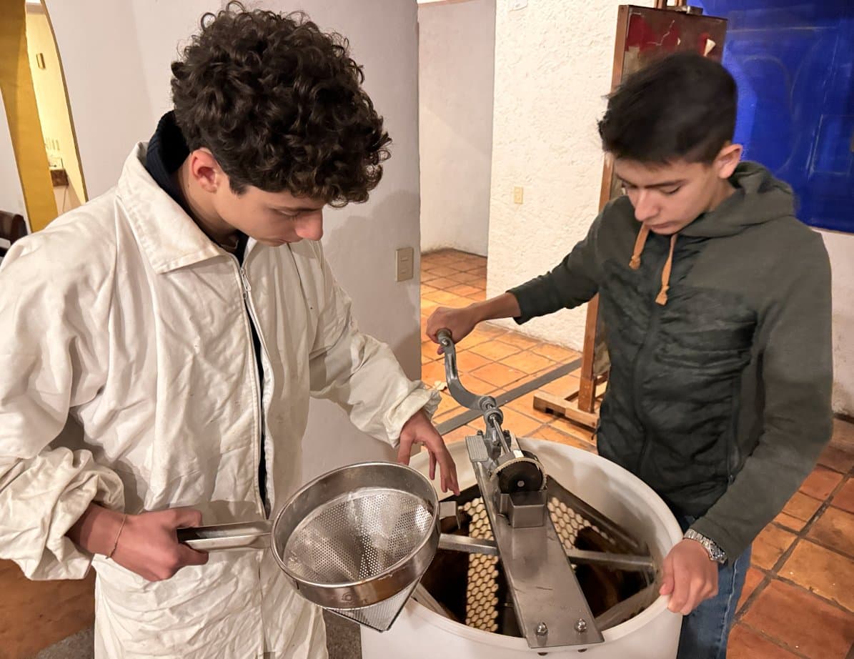 La cosecha de la miel