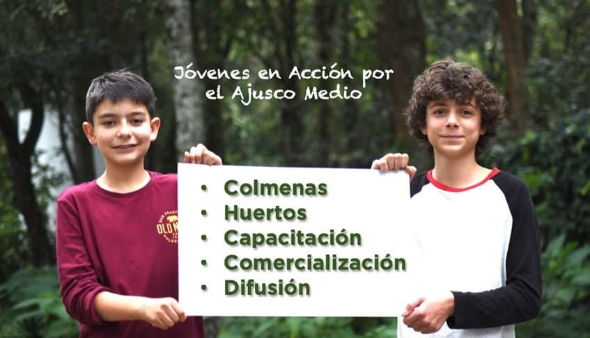 Jóvenes trabajando en el proyecto